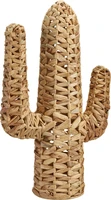Decoratie Cactus Waterhyacint 54cm