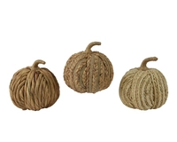 Decoratie Pompoen Waterhyacint 18cm Assorti 1st