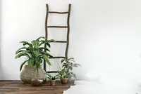 Decoratieladders