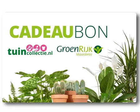 Digitale Cadeaubon