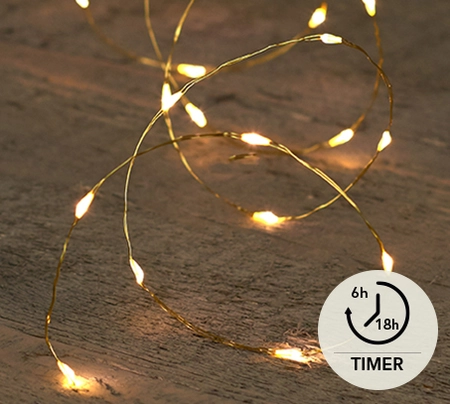 Draadverlichting Goud 20 LED 1m WW