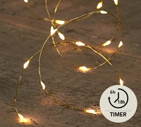 Draadverlichting Goud 20 LED 1m WW