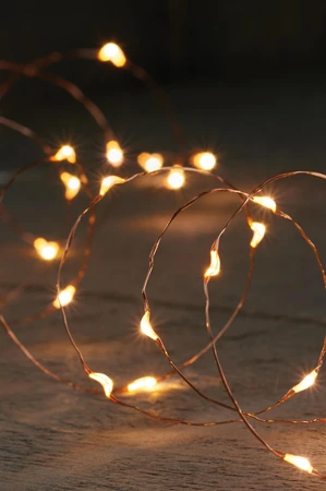 Koperdraadverlichting 20 LED 1m CW