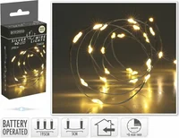 Draadverlichting Zilver 40 LED 1,95m WW