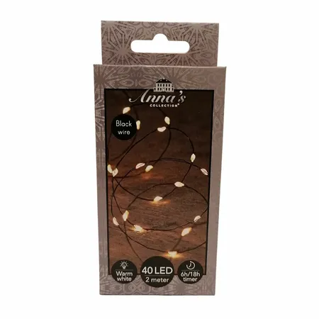 Draadverlichting Zwart 40 LED 2m WW