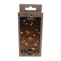 Draadverlichting Zwart 40 LED 2m WW