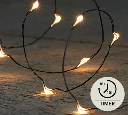 Draadverlichting Zwart 40 LED 2m WW