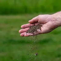 Ecostyle Coniferen & Taxus-AZ Mest 800g
