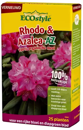 Rhododendron en Azalea