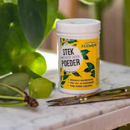 ECOstyle Stekpoeder 25g