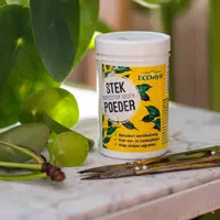 ECOstyle Stekpoeder 25g