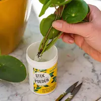 ECOstyle Stekpoeder 25g