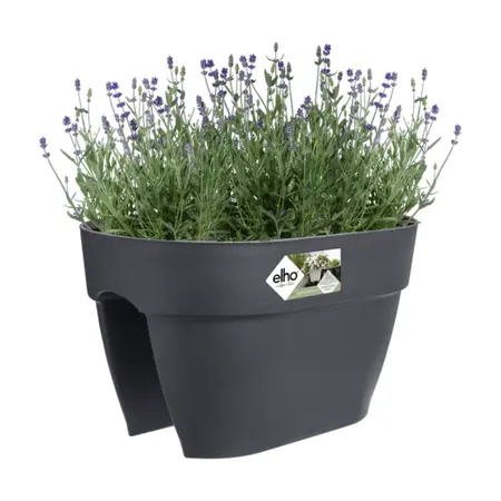 Elho Balkonbak Vibia Campana Flower Bridge Antraciet 40cm