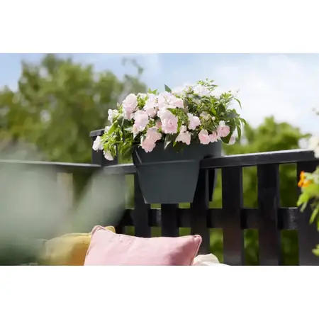 Elho Balkonbak Vibia Campana Flower Bridge Antraciet 40cm