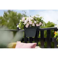 Elho Balkonbak Vibia Campana Flower Bridge Antraciet 40cm