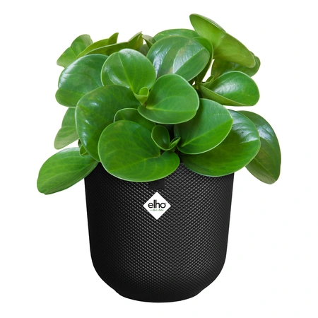 Elho Bloempot Jazz Rond Zwart Ø19cm 