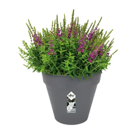 Elho Bloempot Loft Urban Rond Antraciet Ø25cm
