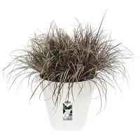 Elho Bloempot Loft Urban Rond Wit Ø19cm