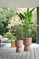 Elho Bloempot Pure Coupe Ø35cm Rosy Bruin