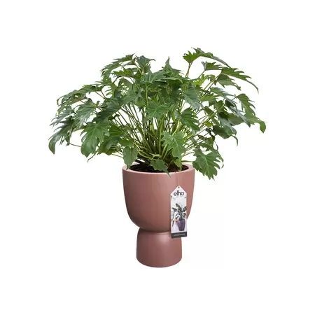Elho Bloempot Pure Coupe Ø35cm Rosy Bruin