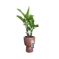 Elho Bloempot Pure Coupe Ø35cm Rosy Bruin