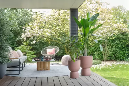 Elho Bloempot Pure Coupe Ø35cm Rosy Bruin