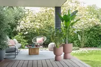 Elho Bloempot Pure Coupe Ø35cm Rosy Bruin