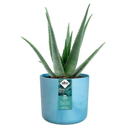 Elho Bloempot Rond Atlantisch Blauw Ø14cm