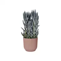 Elho Bloempot Vibes Fold Delicaat Roze Ø18cm