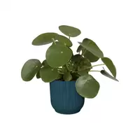 Elho Bloempot Vibes Fold Diepblauw Ø14cm - afbeelding 5