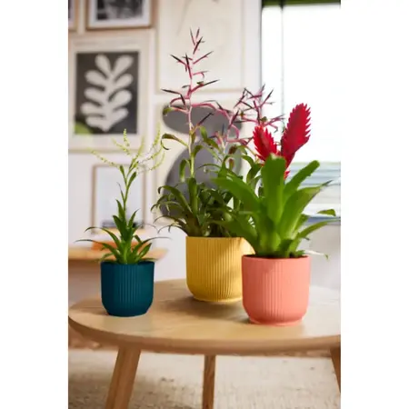 Elho Bloempot Vibes Fold Diepblauw Ø9cm