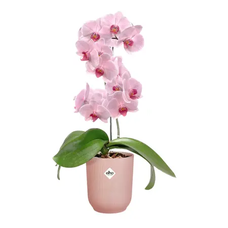 Elho Bloempot Vibes Fold Orchidee Roze Ø12,5cm