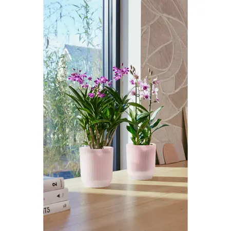Elho Bloempot Vibes Fold Orchidee Roze Ø12,5cm