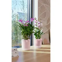 Elho Bloempot Vibes Fold Orchidee Roze Ø12,5cm