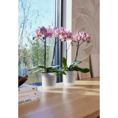 Elho Bloempot Vibes Fold Orchidee Transparant Ø12,5cm