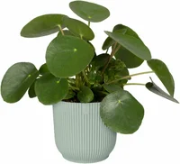Elho Bloempot Vibes Fold Sorbet Groen Ø14cm