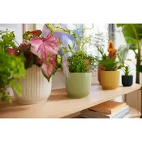Elho Bloempot Vibes Fold Sorbet Groen Ø14cm