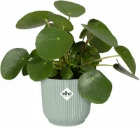 Elho Bloempot Vibes Fold Sorbet Groen Ø18cm