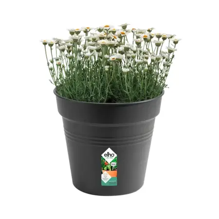 Elho Green Basics Kweekpot Zwart Ø24cm