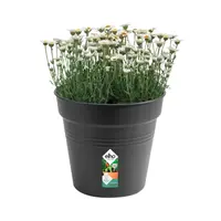 Elho Green Basics Kweekpot Zwart Ø24cm