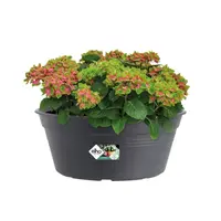 Elho Green Basics Plantenschaal Zwart Ø33cm