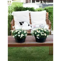 Elho Green Basics Plantenschaal Zwart Ø33cm