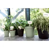 Elho Green Basics Plantenschotel Steengroen Ø17cm