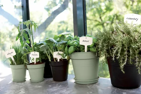 Elho Green Basics Plantenschotel Zwart Ø41cm