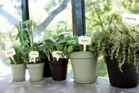 Elho Green Basics Plantenschotel Zwart Ø41cm