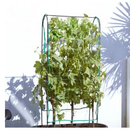 Elho Green Basics Veggie Wall 80cm