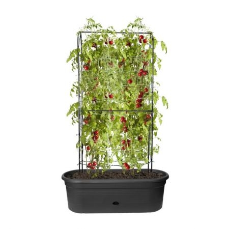 Elho Green Basics Veggie Wall 80cm