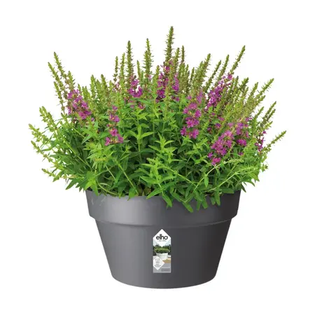Elho Loft Urban Plantenschaal Antraciet Ø35cm