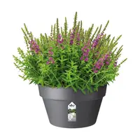 Elho Loft Urban Plantenschaal Antraciet Ø35cm