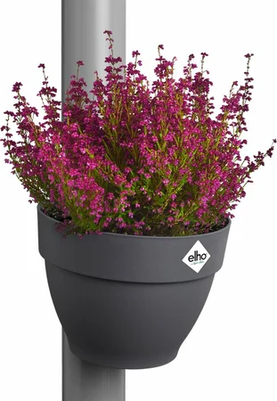 Elho Regenpijpbakje Vibia Campana Antraciet 16cm